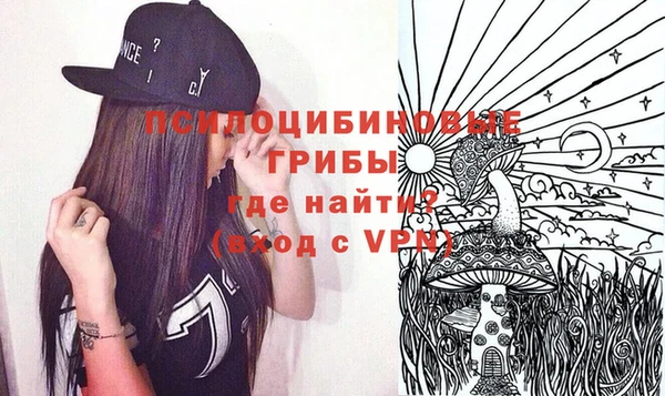 молекула духа Алексин