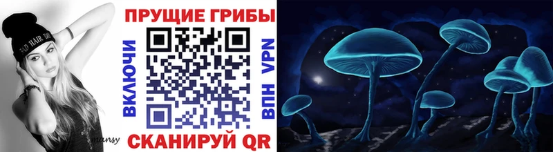 Псилоцибиновые грибы Magic Shrooms  дарк нет телеграм  Багратионовск 
