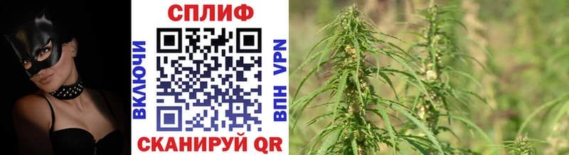 Каннабис Amnesia Багратионовск